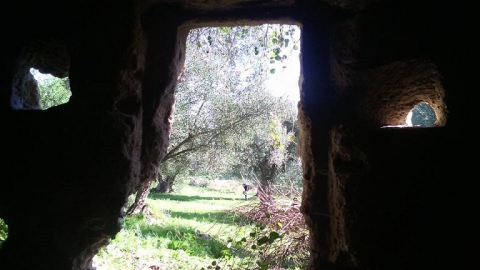 Fasano, chiese rupestri immerse tra gli ulivi secolari: � ''Lama D'Antico''